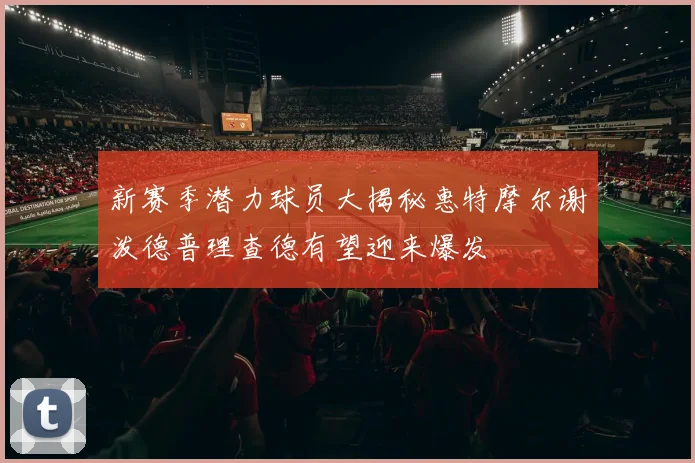 新赛季潜力球员大揭秘惠特摩尔谢泼德普理查德有望迎来爆发
