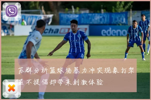 苏群分析篮球场暴力冲突现象打架虽不提倡却带来刺激体验