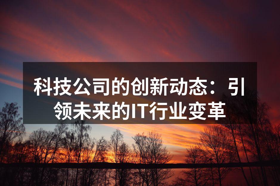 创新软件开发案例展示