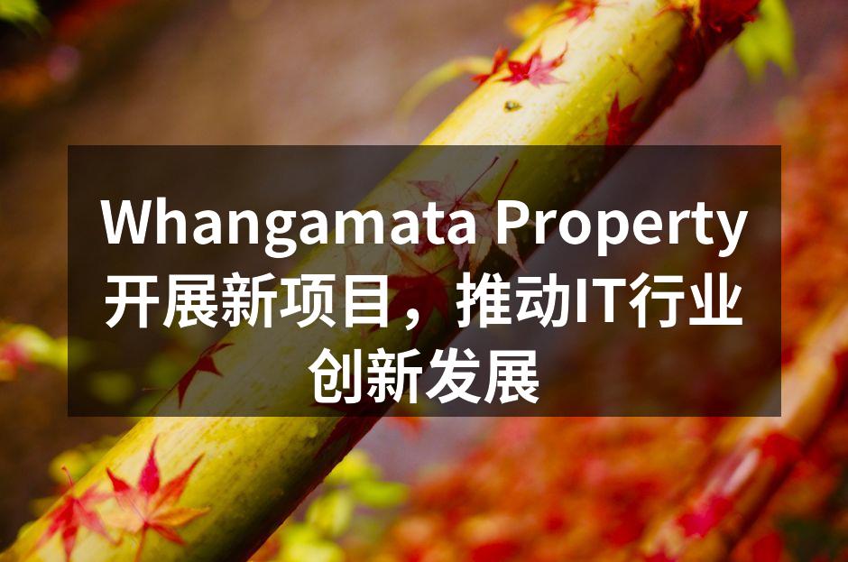 Whangamata Property新项目启动仪式