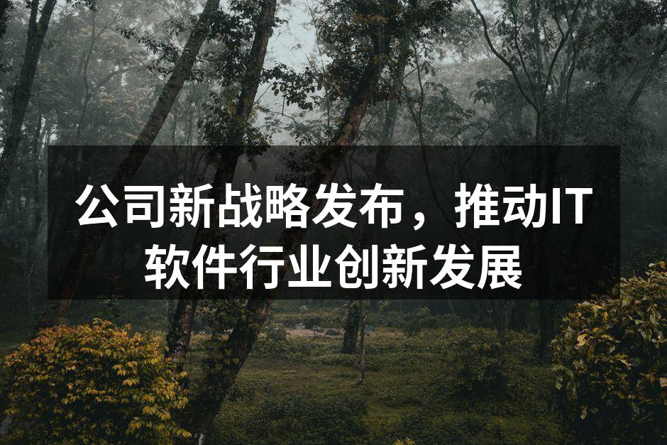 战略发布会现场